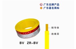 60227 IEC 01（BV）金年会电缆