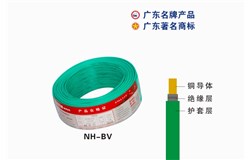 NH-BV金年会电缆