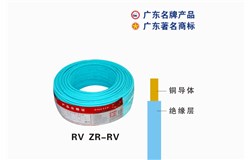 RV ZR-RV金年会电缆