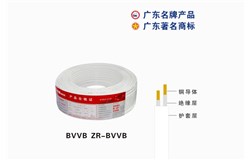 BVVB ZR-BVVB金年会电缆